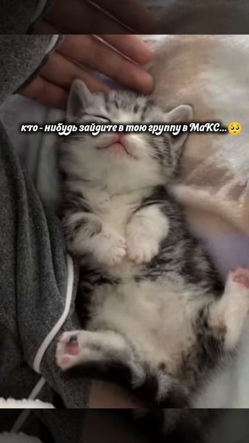 пожалуйста 😭