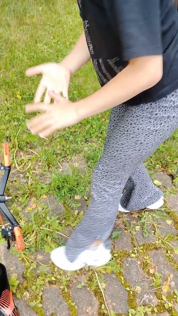 4582.mp4
