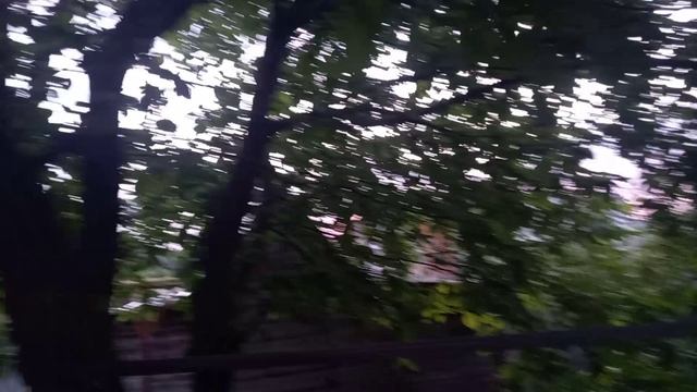 Такое вот субботнее утро.