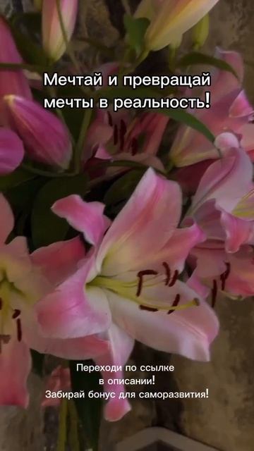 Мотивация