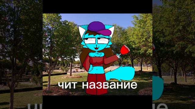 чит опис