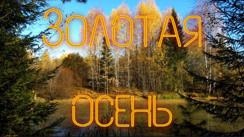 Золотая осень 2025 года