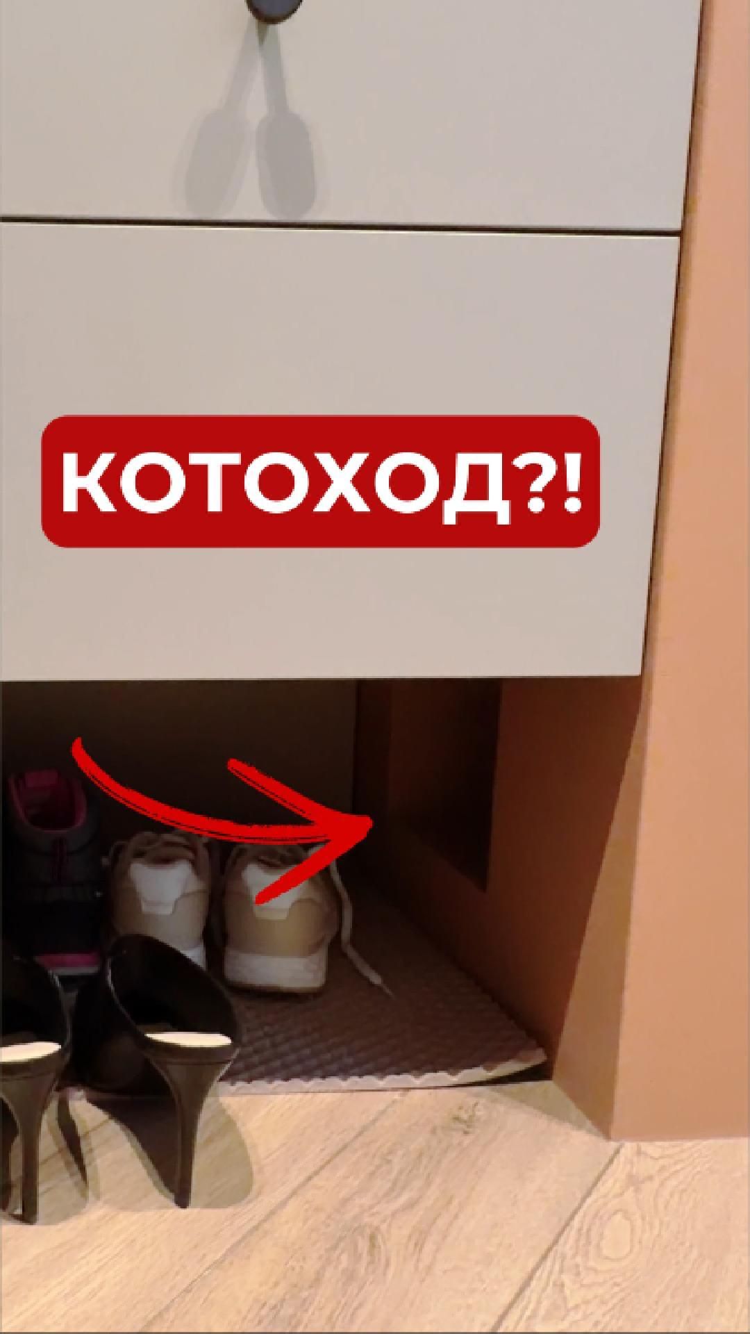 Мы сделали ДВЕРЬ ДЛЯ КОТА, и вот почему вы тоже захотите