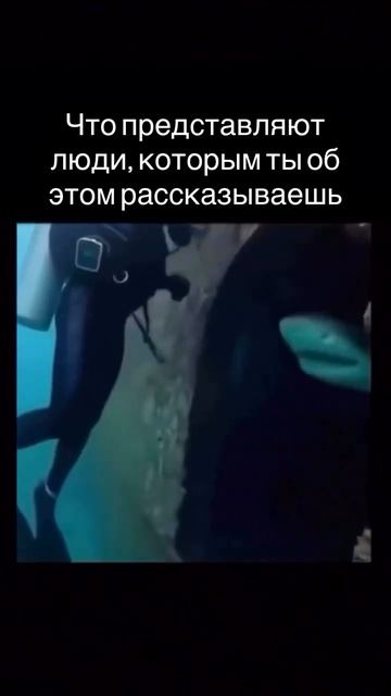 Нападение акулы на дайвера😱