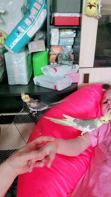 да, да, всегда есть чем заняться с принцессой 😌 а попугаев наших мы отдаём, продаём 💪👸🙂#евасма1