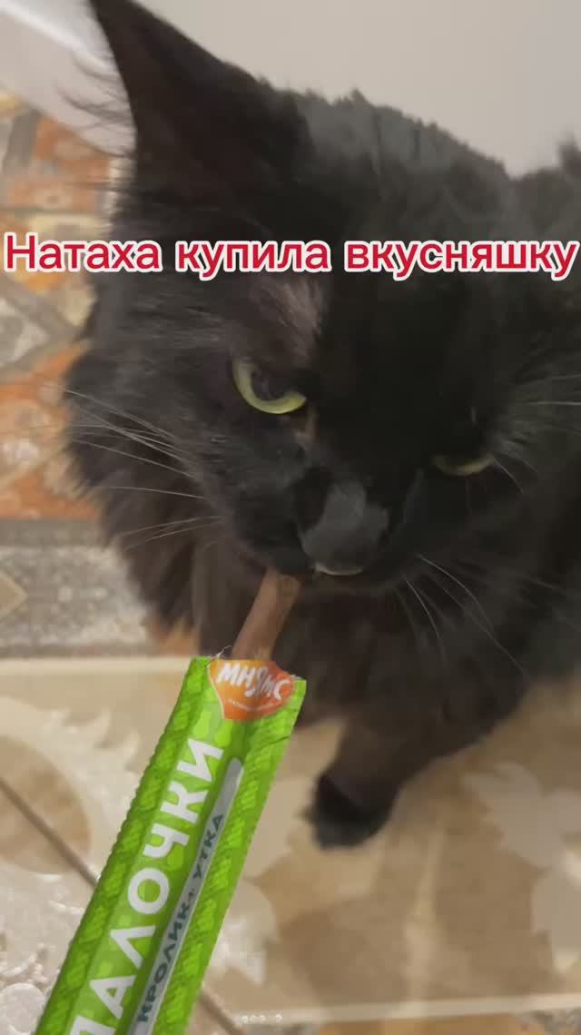Лакомство для кота Коти