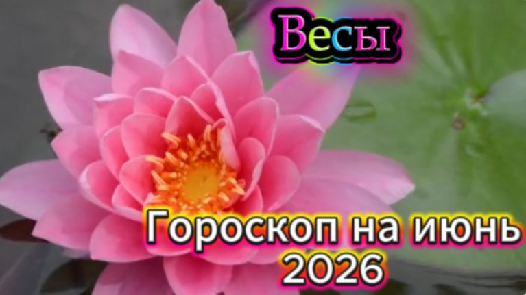 Весы! Гороскоп на июнь 2026 года!