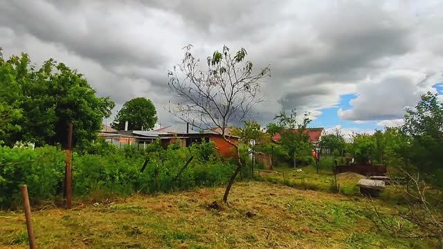 Во саду ли, в огороде ...