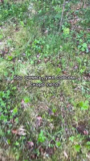 уже совсем скоро лето!