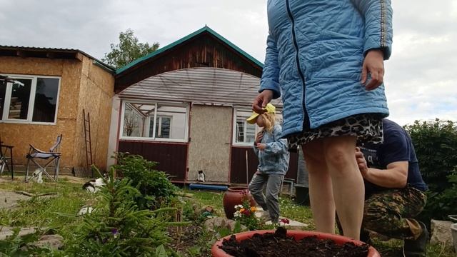 СТАРАЕМСЯ ПОРАБОТАТЬ МЕНЬШЕ, ПОСАДИЛА ЦВЕТЫ, ПРОПОЛКА.