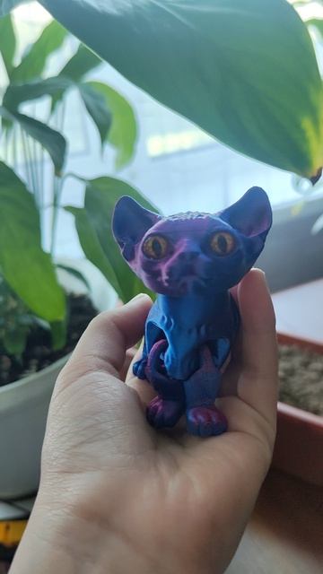придумайте ей имя 😺
