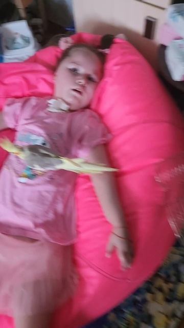 на последок наиграться птичками и передаём в другую семью 😌💪👸🙂#евасма1 #папасаша