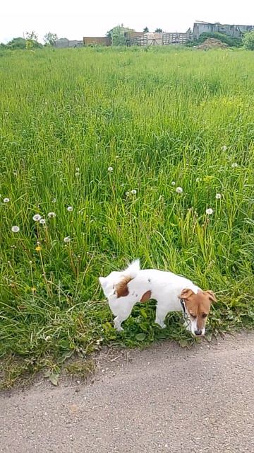 Сегодня 31.05.26.