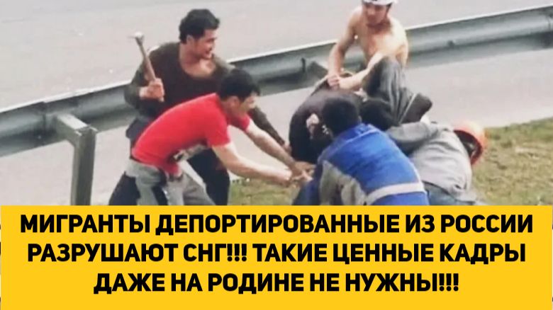 МИГРАНТЫ ДЕПОРТИРОВАННЫЕ ИЗ РОССИИ РАЗРУШАЮТ СНГ!!! ТАКИЕ ЦЕННЫЕ КАДРЫ ДАЖЕ НА РОДИНЕ НЕ НУЖНЫ!!!