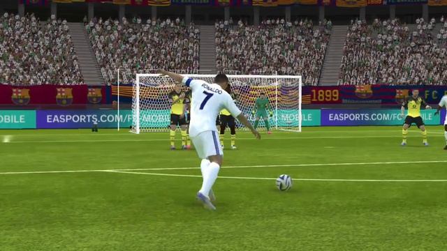 1000028945.mp4