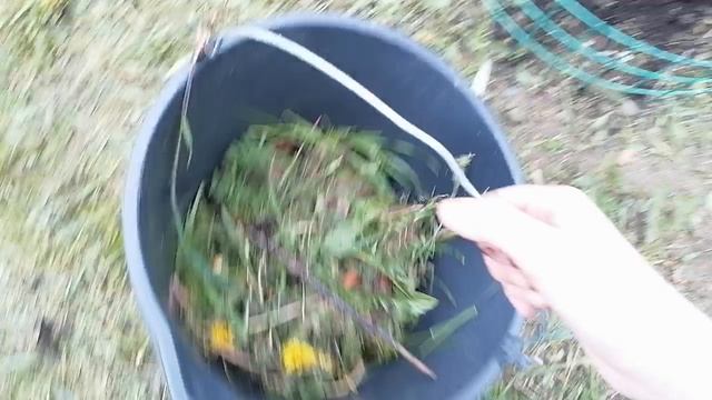Собираем скошенную траву.