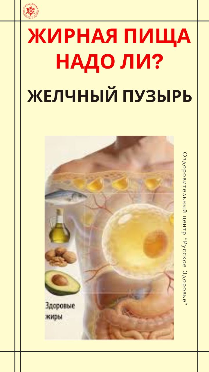 Жирная пища. Надо ли? Желчный пузырь