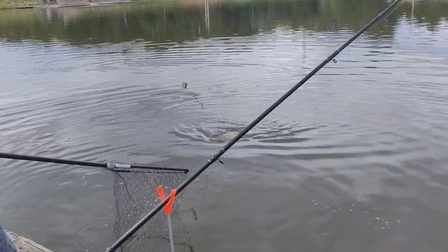 VID_20260531_133153