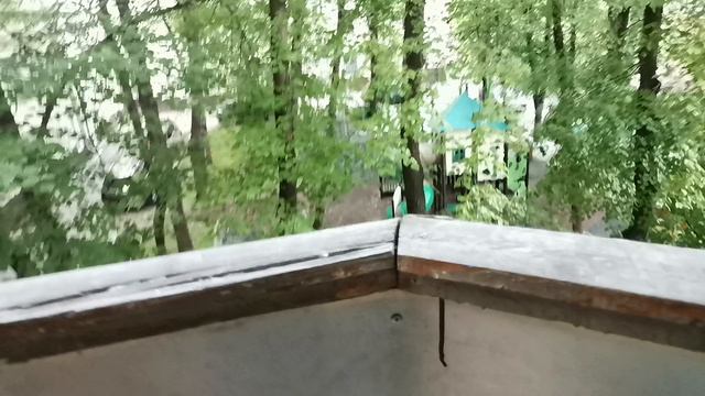 До лета 5 часов