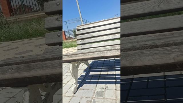 1000329440.mp4