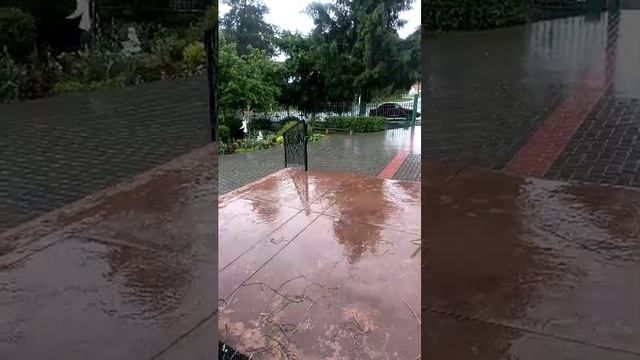 с праздником Святой Троицы 🌿,а у нас идёт дождик 🌧️