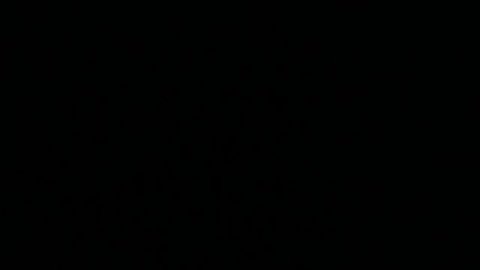 Прокуратуре:просим выселить притон дебоширов 9:18 31.05.26