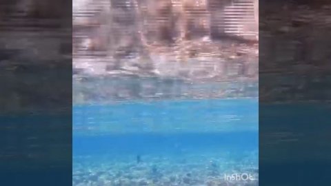 Молоденький орляк приплыл к родным местам!