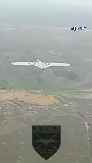 Боевое донесение номер 138