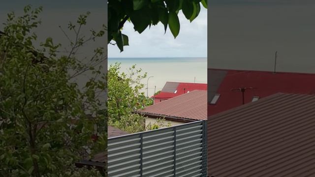 Обход территории 🌺🌴🌊