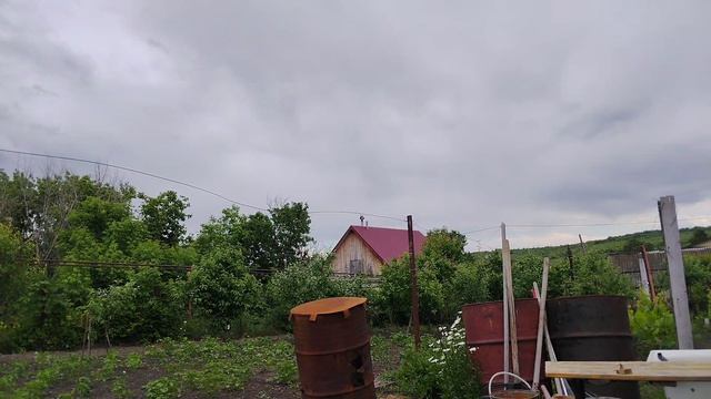 765.mp4