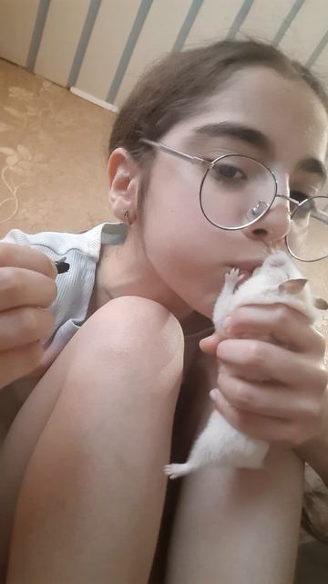 хомяк 🐹