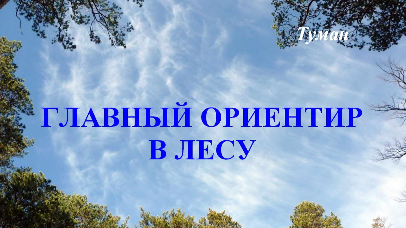 Главный ориентир в лесу