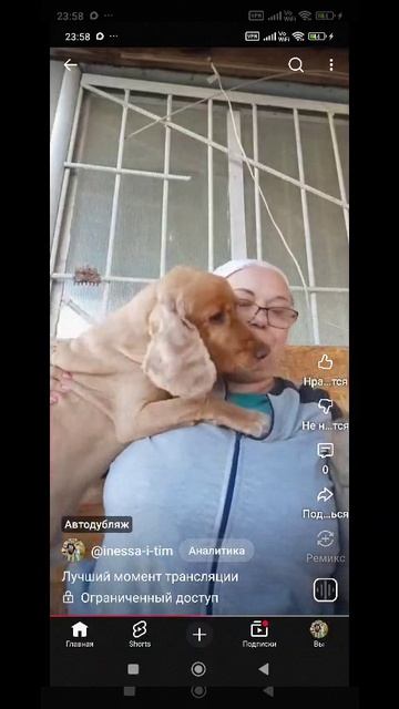 Моя мама)) мать собакам отдать!))