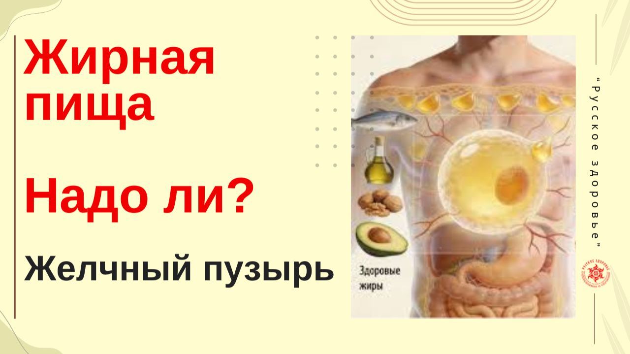 Жирная пища. Надо ли? Желчный пузырь