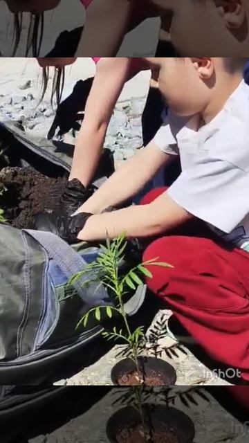 1000086262.mp4