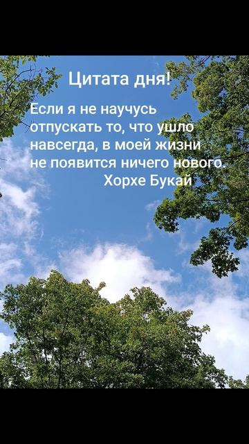Мудрость тысячелетий!✨🌈☀️Изречения современников! Цитата:"Если я не научусь отпускать..." #мысли