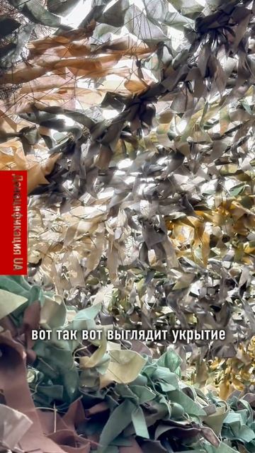 Новостной фронт
