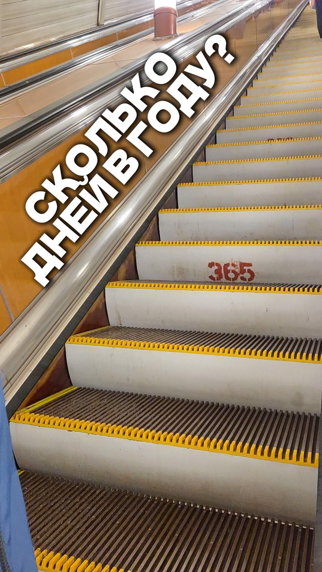 Сколько дней в году?