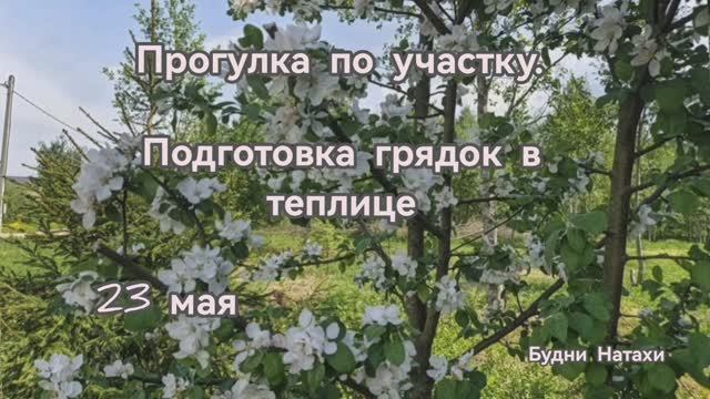 Заполняем грядки в новой теплице! Как делали теплицу. Как распушить елку?