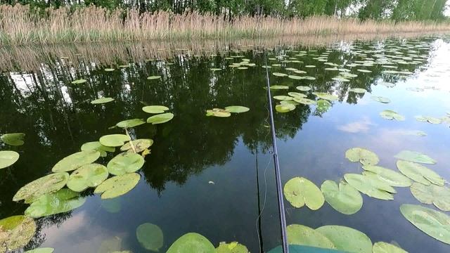 Среднее Песьяново, озёрная рыбалка.
