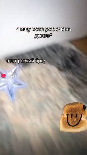 1000002991.mp4