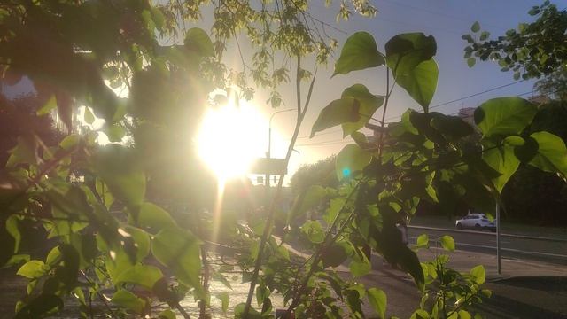 30 мая СЕНСАЦИЯ Магический ☀️ прогноз погоды от волшебника на 31 мая