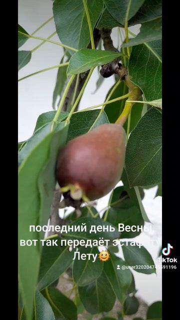 1000026788.mp4