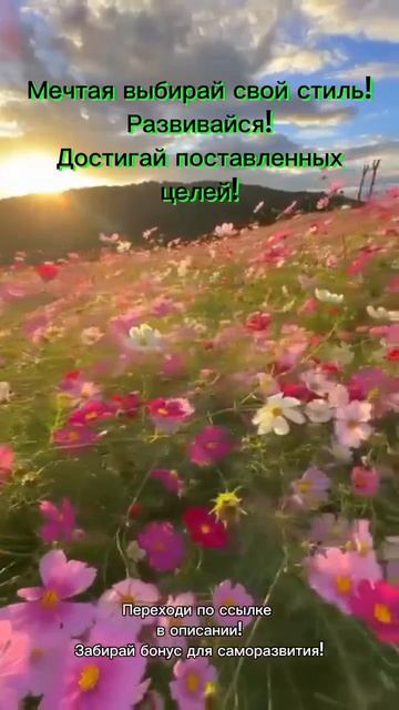 Мотивация