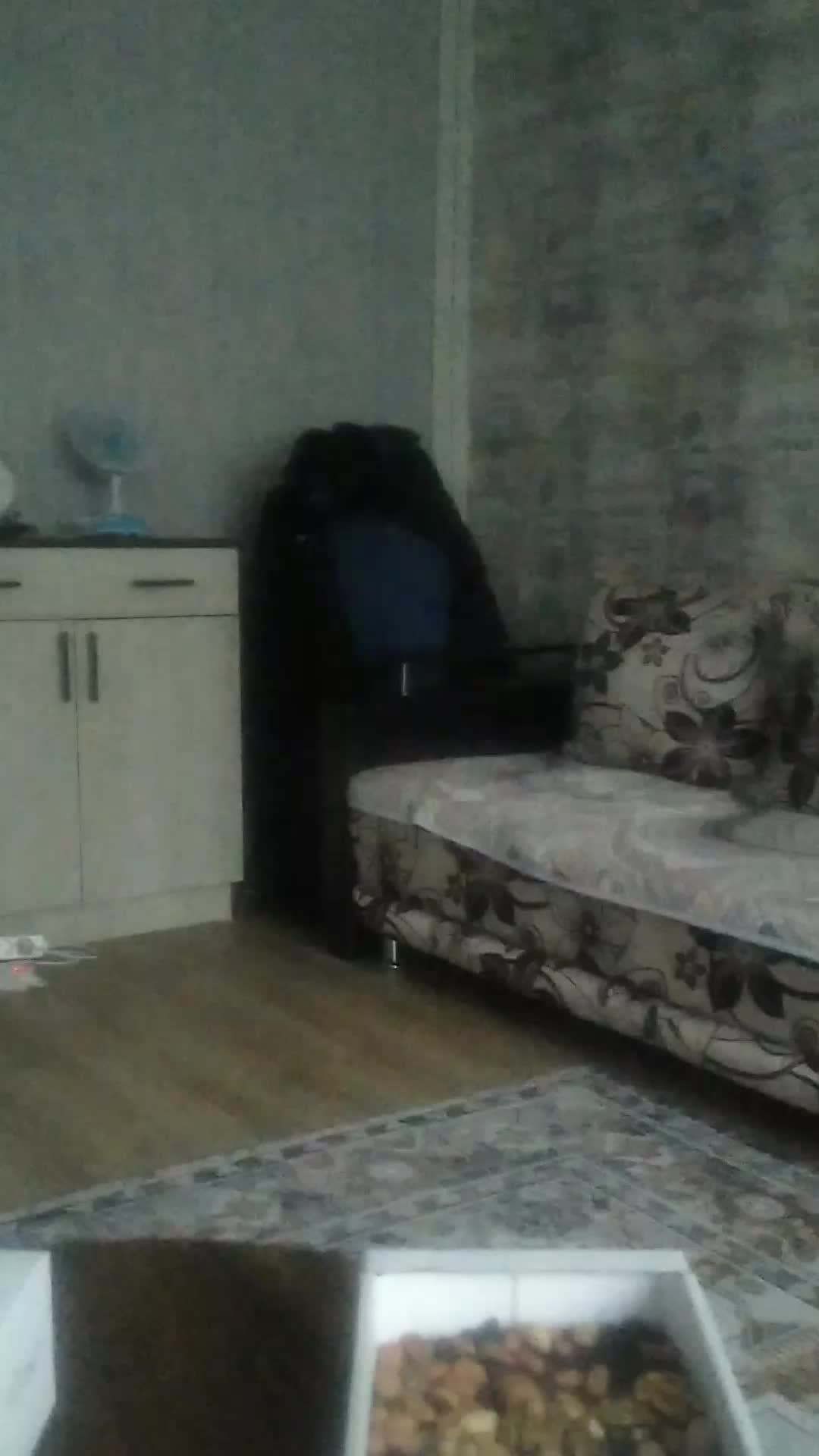 смотрю фильм