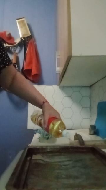 2768.mp4