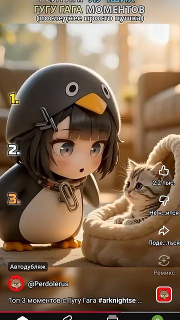 сигма кот