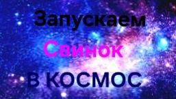Запускаем свинок в космос!