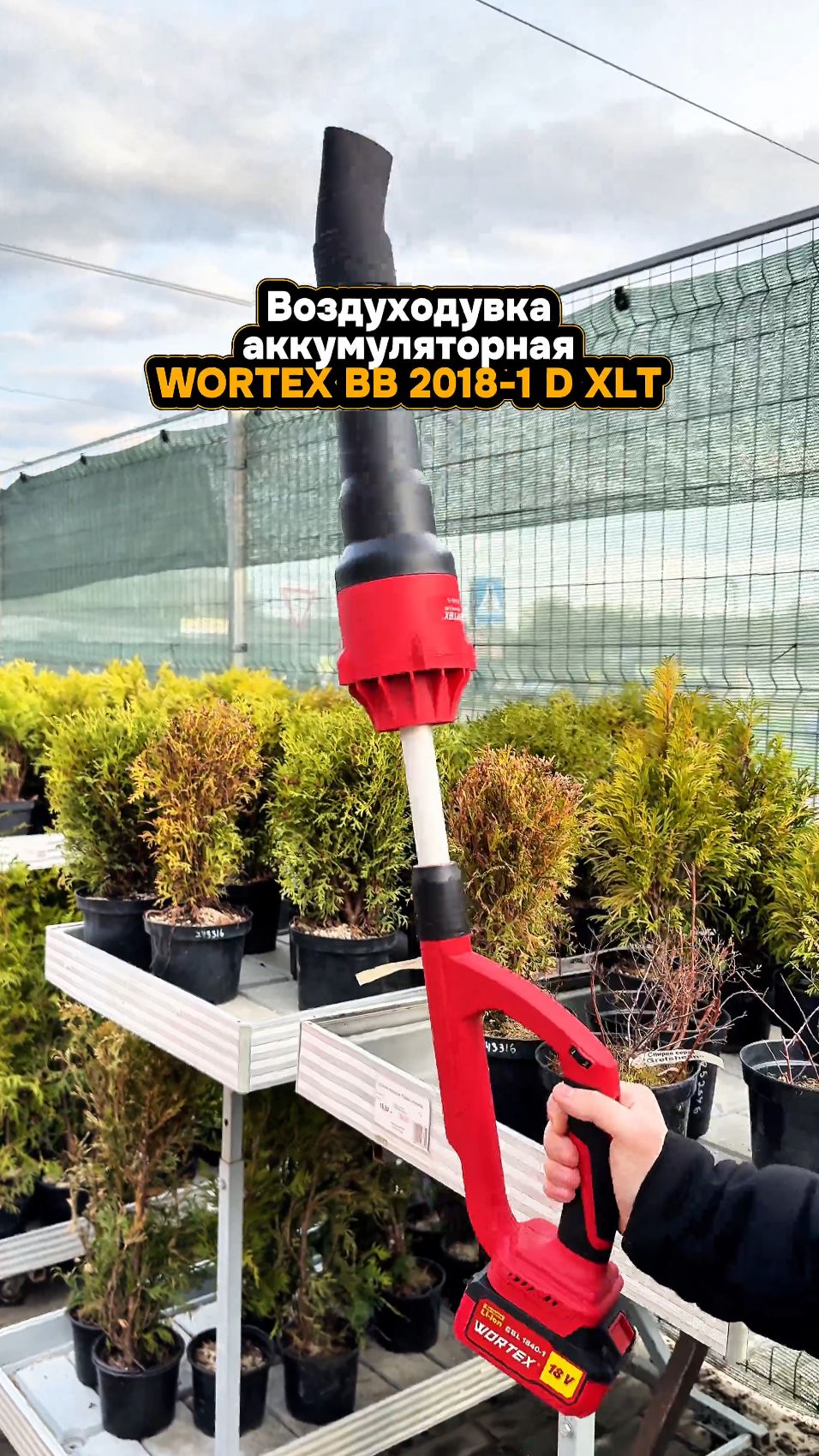 Аккумуляторная воздуходувка WORTEX BB 2018-1 D XLT