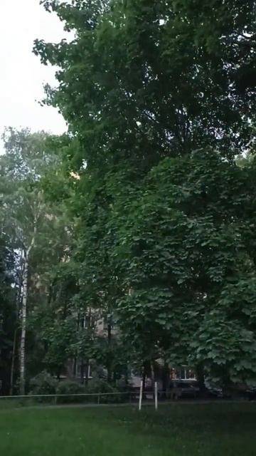 Кто тебя выдумал.